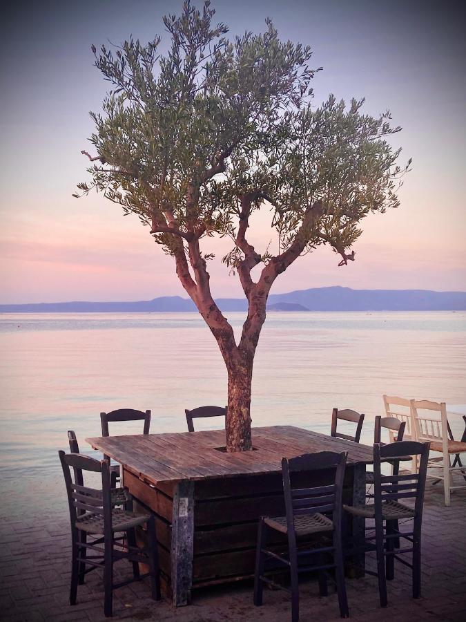 Holiday home Epos & Luxury